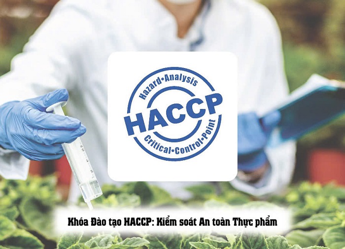 khóa học haccp